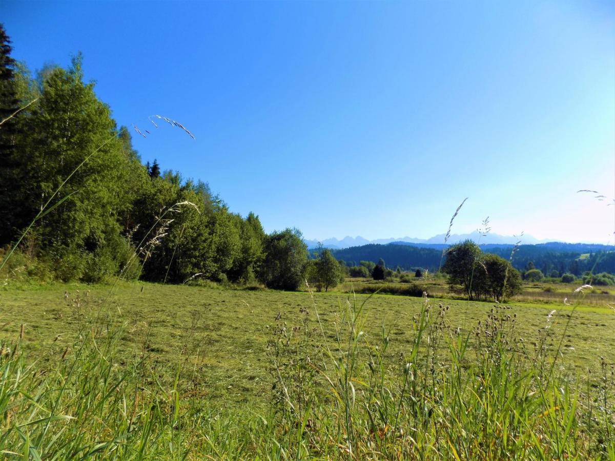 Pokoje U Teresy Czarna Góra Exterior foto
